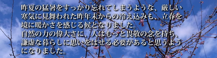 そよかぜ62号